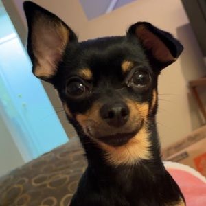 Meet your Posher, Kalyn